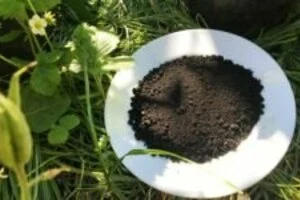 Что такое Гумат, леонардит? органическое земледелие - подробнее в блоге