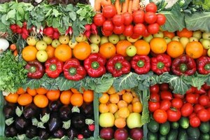 Рекомендации по выращиванию овощей
