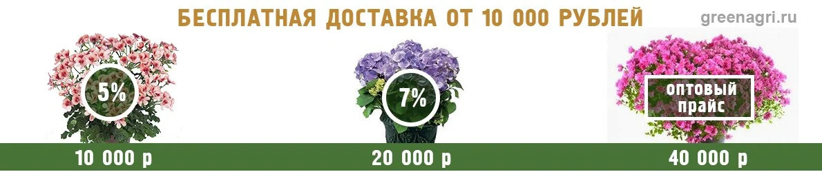 Скидка на цветы в профи упаковке