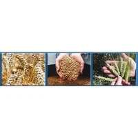 Технология применения Иркутских гуматов при выращивании зерновых культур*