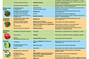 Рекомендации по защите растений и культур от компании Август