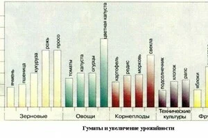 Гуматы и урожайность