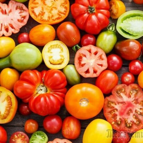 Какие бывают томаты: виды и классификация, что такое Индетерминантные ,  Детерминантные сорта