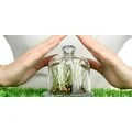 Регуляторы,стимуляторы роста Регуляторы,стимуляторы роста