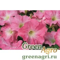 Семена Петуния крупноцветковая (Petunia grandiflora) "Ultra F1" (salmon morn) raw 1000 шт.