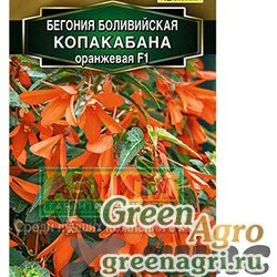Семена пакетированные КОМ Бегония Копакабана оранжевая Аэлита Ц