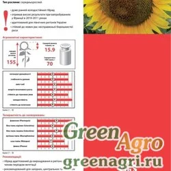 Семена Подсолнечник, ЛГ 5377, 1 п.е., LG