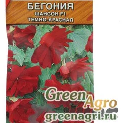 Семена пакетированные Ком Бегония Шансон темно-красн. Аэлита Ц