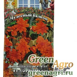 Семена пакетированные КОМ Бегония Афродита гранул5шт(Чудес.балкон)Гавриш Ц