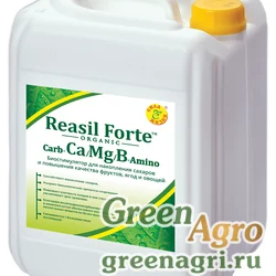 Reasil Forte Carb-Ca/Mg/B-Amino (Реасил Форте Карб-Ca/Mg/B-Амино)