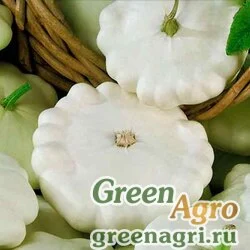 Семена Патиссон НЛО белый  (упак-50 гр.)