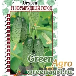 Семена пакетированные Огурец Изумрудный город Манул Ц