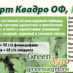 Эксперт Квадро ОФ МКС, этофумезат + фенмедифам + десмедифам + ленацил, 110 г/л + 90 г/л + 70 г/л + 40 г/л