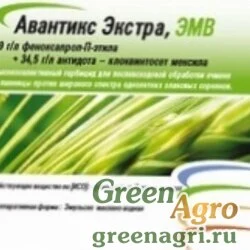 Авантикс Экстра ЭМВ, феноксапроп – П – Этил + антидот клоквинтосет – мексил, 69 г/л+34,5 г/л