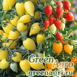 Семена Томат (Lycopersicon esculentum) "Funnyplums" (full mixture) raw 1000 шт.