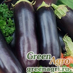 Семена Баклажан Алмаз 10 гр. СЕДЕК