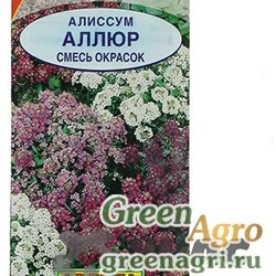 Семена пакетированные Алиссум Аллюр смесь  Аэлита Ц