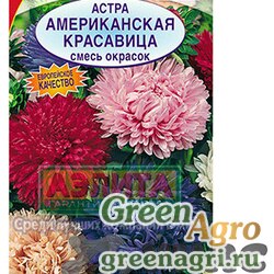 Семена пакетированные Астра Американская красавица 0,3г Аэлита Ц