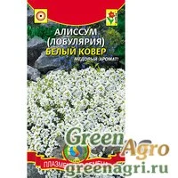 Семена пакетированные Алиссум (лобулярия) Белый ковер   Плазма Ц