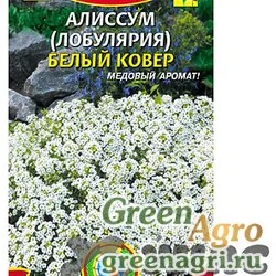 Семена пакетированные Алиссум (лобулярия) Белый ковер   Плазма Ц