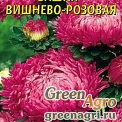 Семена пакетированные Астра Башня Вишнево-розовая Плазма Ц