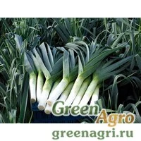 Семена Превита F1 Previta
