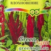 Семена пакетированные Амарант Вдохновение Гавриш Ц