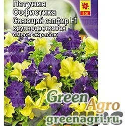 Петуния Софистика Сияющий сапфир Аэлита Ц