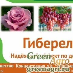 Гиберелон, ВРП (40 г/кг гибберелиновых веществ)
