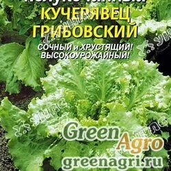 Семена пакетированные Салат Кучерявец Грибовский Плазма Ц