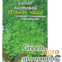 Салат Зелёная чаша Плазма Ц