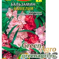 Семена пакетированные Бальзамин Камелия Плазма Ц