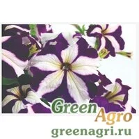 Семена Петуния крупноцветковая (Petunia grandiflora) 