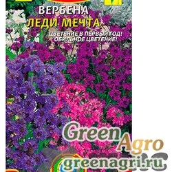Семена пакетированные Вербена Леди мечта Плазма Ц