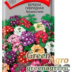 Семена пакетированные Вербена Звездная пыль Поиск Ц