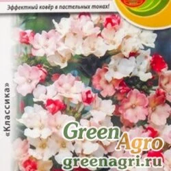 Семена пакетированные Вербена Пичез энд Крим НК Ц