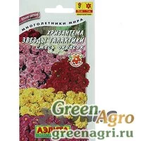 Семена пакетированные Хризантема Звезды галактики смесь окрасок Аэлита Ц