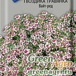 Семена пакетированные Гвоздика травянка Вайт-Ред Поиск Ц
