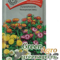 Семена пакетированные Гелихризиум Низкорослая смесь Поиск Ц