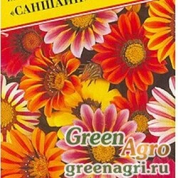 Семена пакетированные Гацания Саншайн Престиж Ц (заказ)