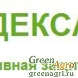 Адексар, КЭ