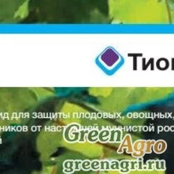 ТИОВИТ ДЖЕТ, ВДГ 75 гр