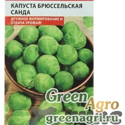 Капуста брюссельская Санда Аэлита Ц