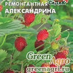 Семена пакетированные Земляника Александрина Седек Ц
