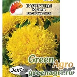 Бархатцы Купид золотистые откл. Аэлита Ц