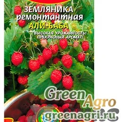 Семена пакетированные Земляника Али-баба Плазма Ц