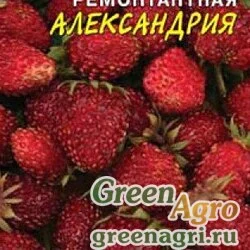 Семена пакетированные Земляника Александрия Цвет.Сад Ц (заказ)
