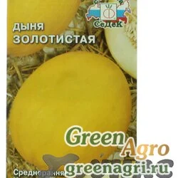 Семена пакетированные Дыня Золотистая Седек Ц