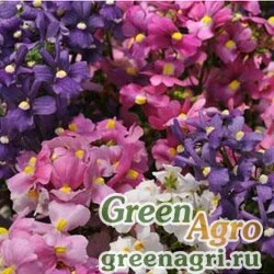Семена Немезия лазоревая (Nemesia foetans) "Poetry F1" (mix) pelleted 1000 шт.