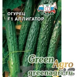 Семена пакетированные Огурец Аллигатор Седек Ц